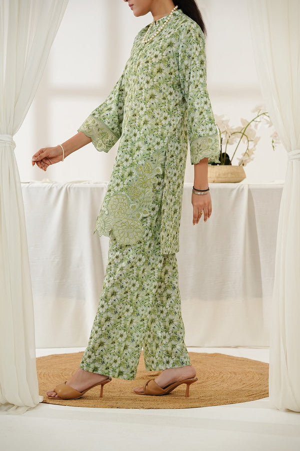 Aizal Emb Coords D-563