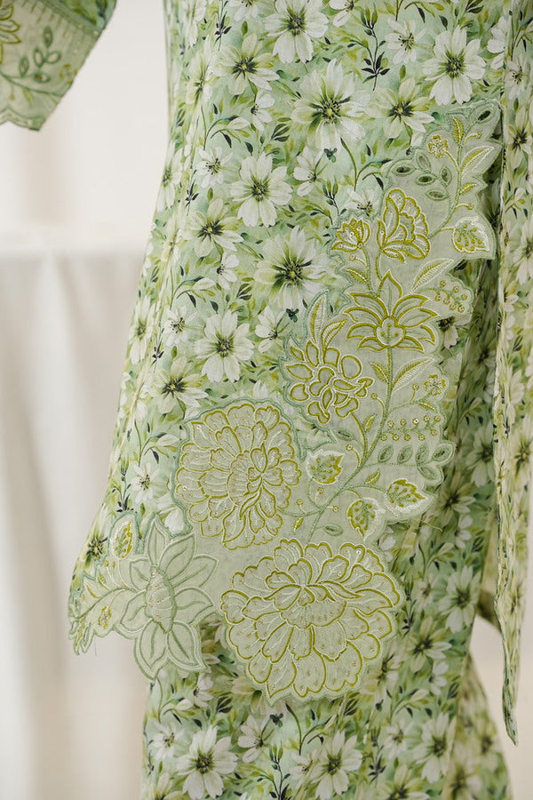 Aizal Emb Coords D-563