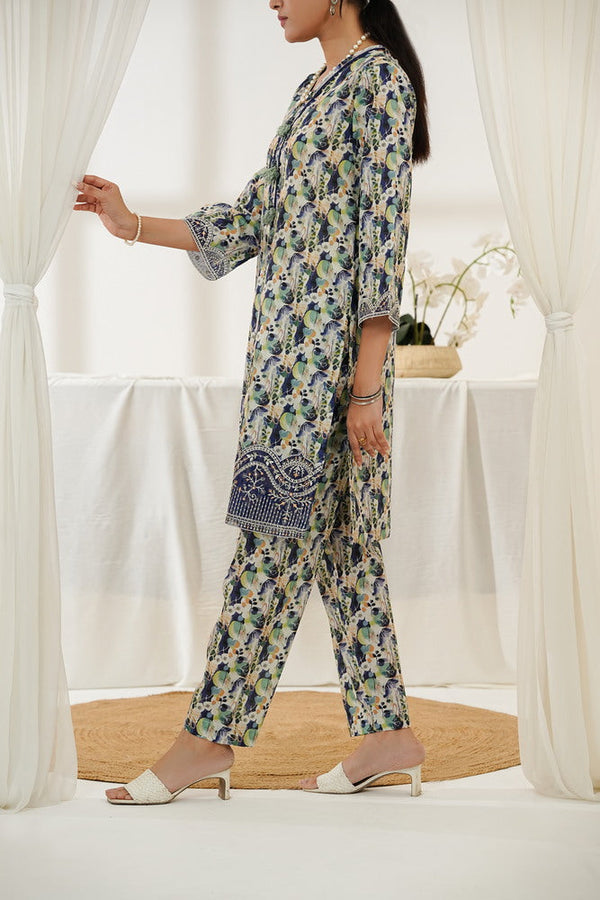 Aizal Emb Coords D-564