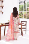 Kainat Lawn D-916