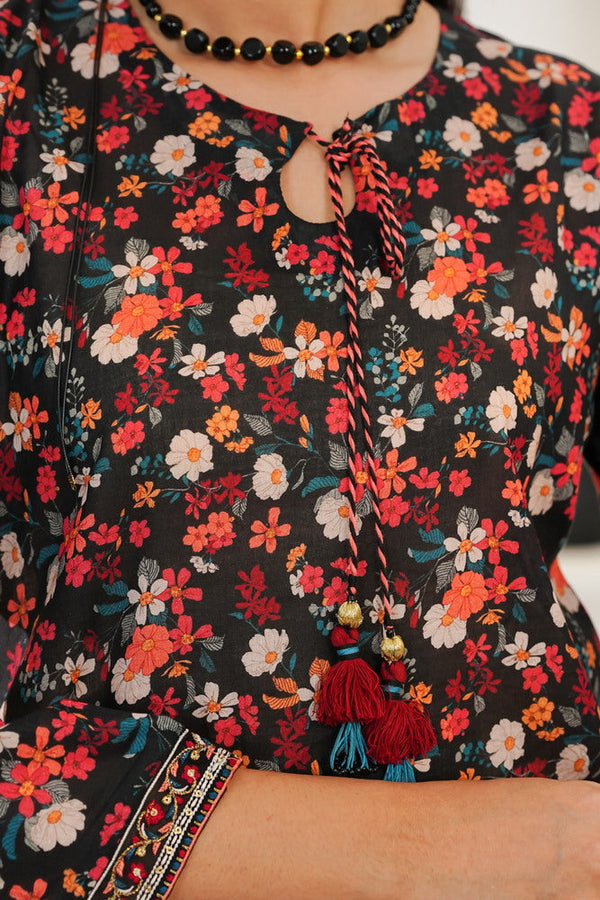 Aizal Emb Coords D-566